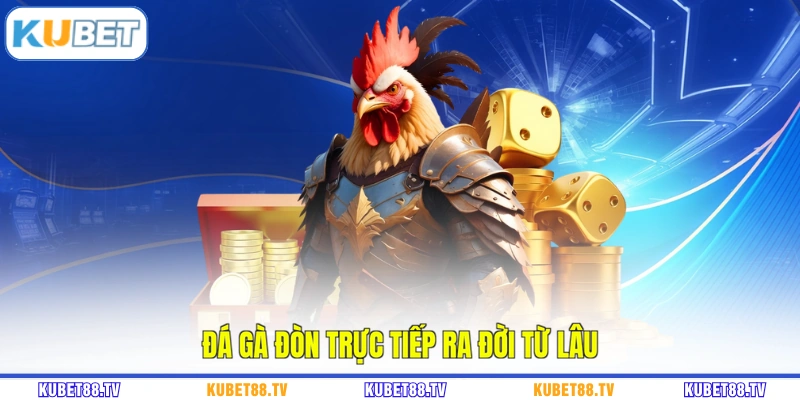 Đá gà đòn trực tiếp ra đời từ lâu