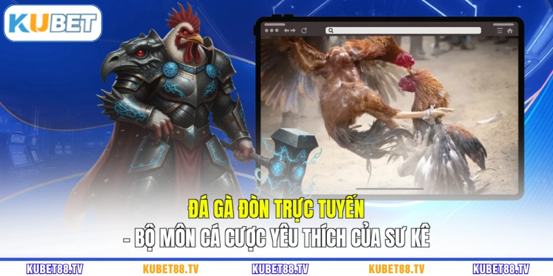Đá gà đòn