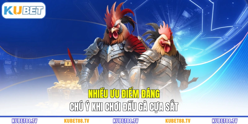 Nhiều ưu điểm đáng chú ý khi chơi đấu gà cựa sắt