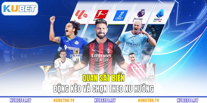 Quan sát biến động kèo và chọn theo xu hướng