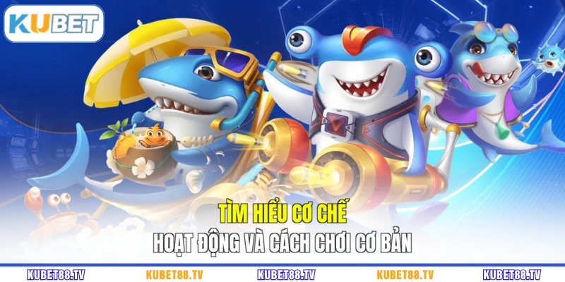 Tìm hiểu cơ chế hoạt động và cách chơi cơ bản