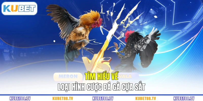 Tìm hiểu về loại hình cược đá gà cựa sắt